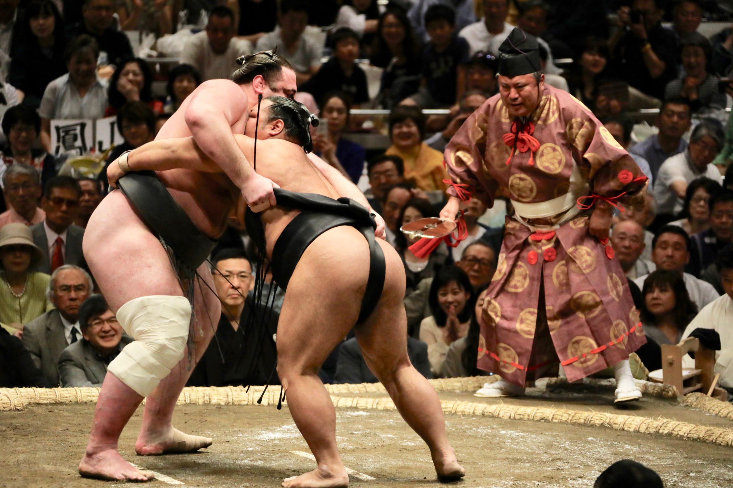 sumo wrestler, fight, audience