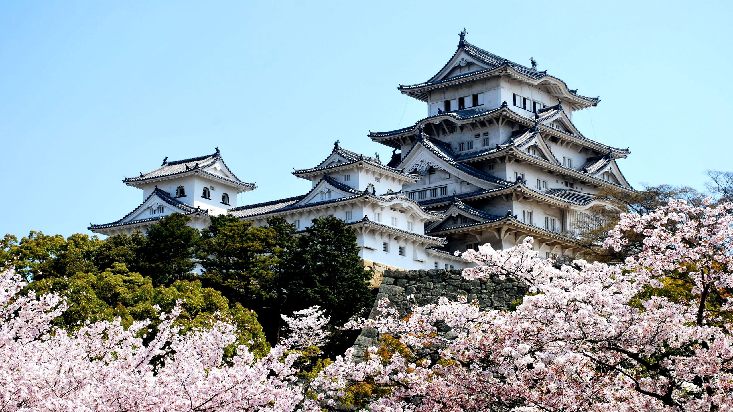 Himeji Castle, White Caste, Japan, Himeji Station, Cherry Blossoms Brackground