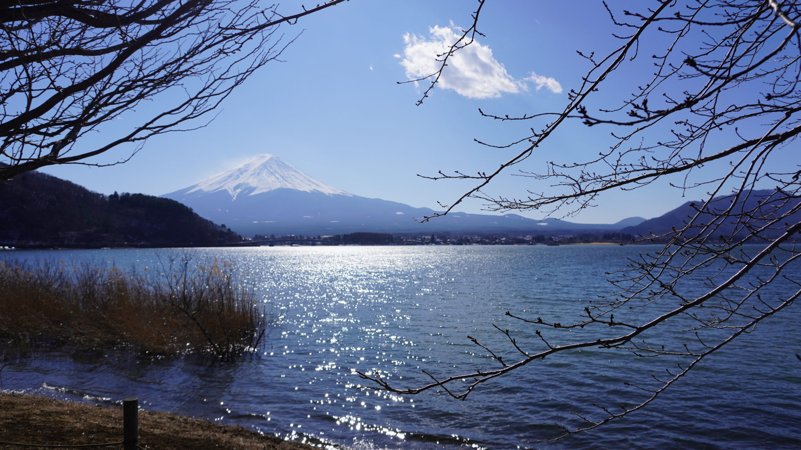 Japan Tavel, Mt Fuji, Kawaguchiko Lake, Ice caps, Mountain View, Lake View, Clear view